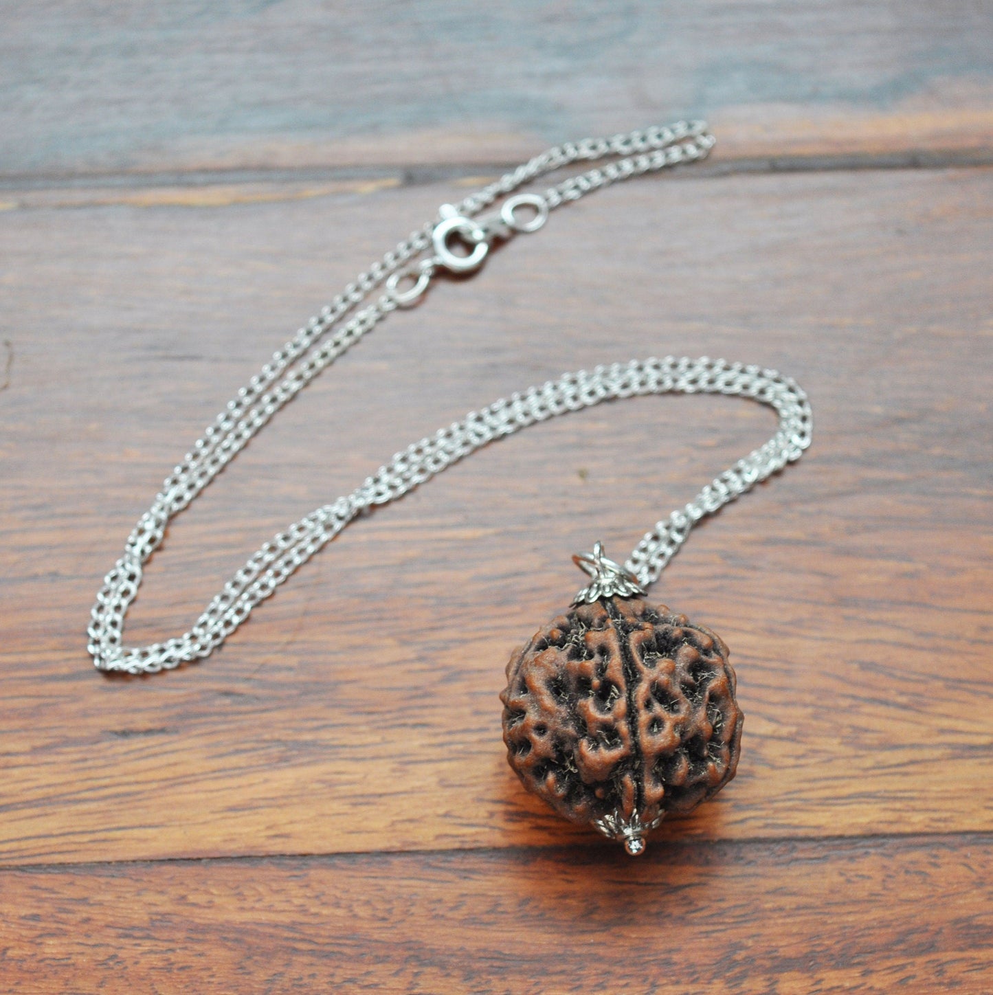 Rudraksha Pendant Necklace on 16" Silver Plated Chain