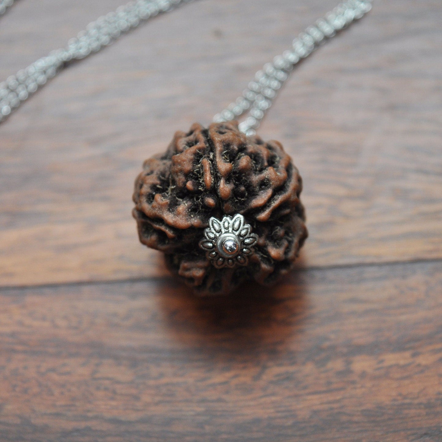 Rudraksha Pendant Necklace on 16" Silver Plated Chain